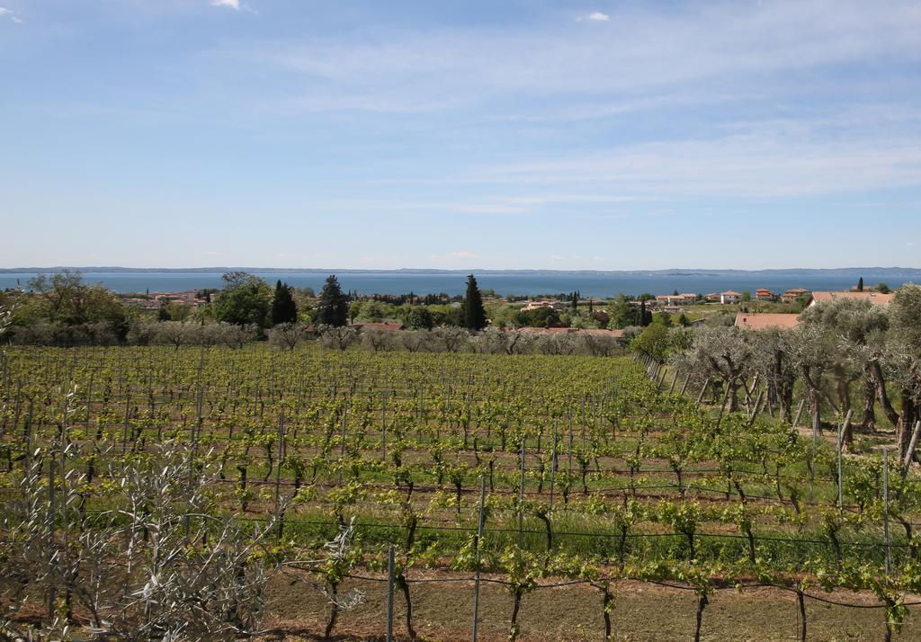 Appartamenti Bellavista Bardolino Exteriér fotografie